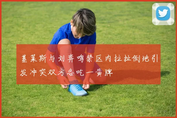 基莱斯与刘弈鸣禁区内拉扯倒地引发冲突双方各吃一黄牌