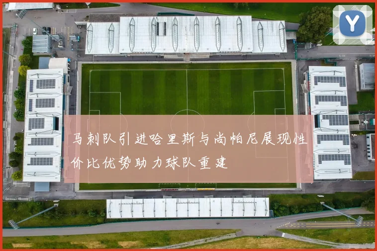 马刺队引进哈里斯与尚帕尼展现性价比优势助力球队重建