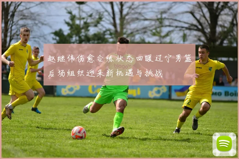 赵继伟伤愈合练状态回暖辽宁男篮后场组织迎来新机遇与挑战